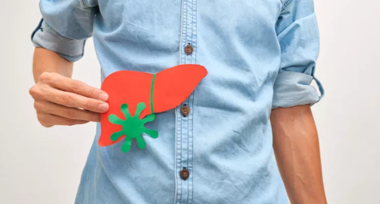 Persona sosteniendo una ilustración de un hígado sobre el abdomen, salud hepática