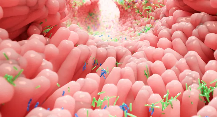 Ilustración de las vellosidades del intestino, salud digestiva